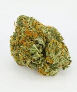 Loud Dream Strain