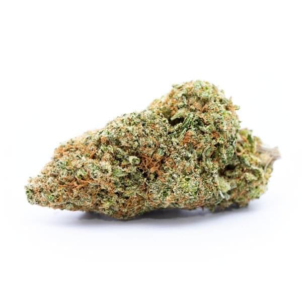 Blissful Wizard Strain Blissful Wizard Strain