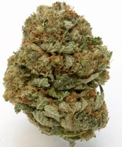 Kush For Sale