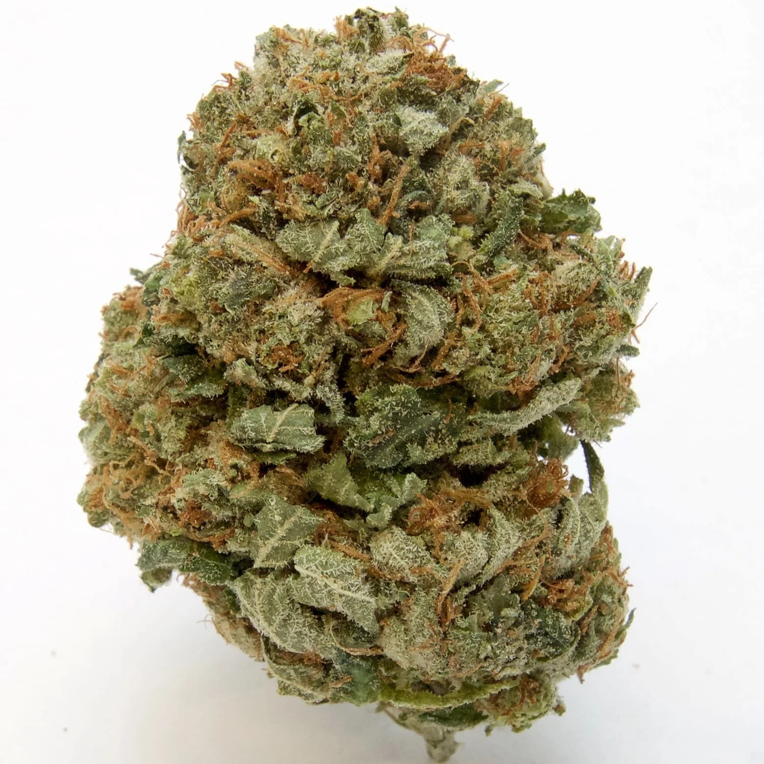 Kush For Sale Kush For Sale