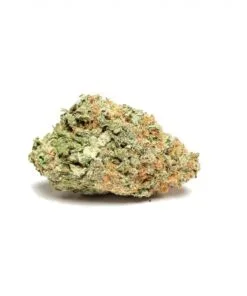 white widow strain