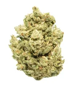 Gorilla Glue Strain