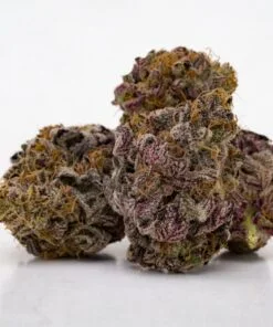granddaddy purple strain