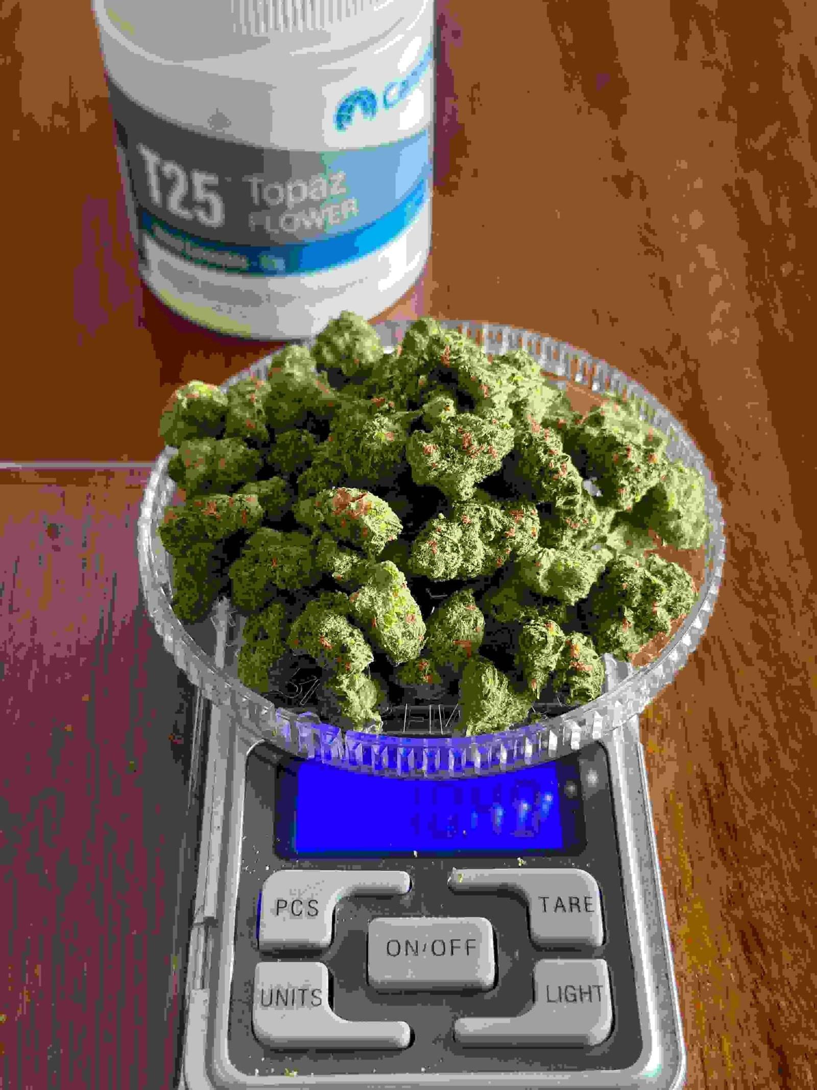 cannatrek t25 topaz flower​